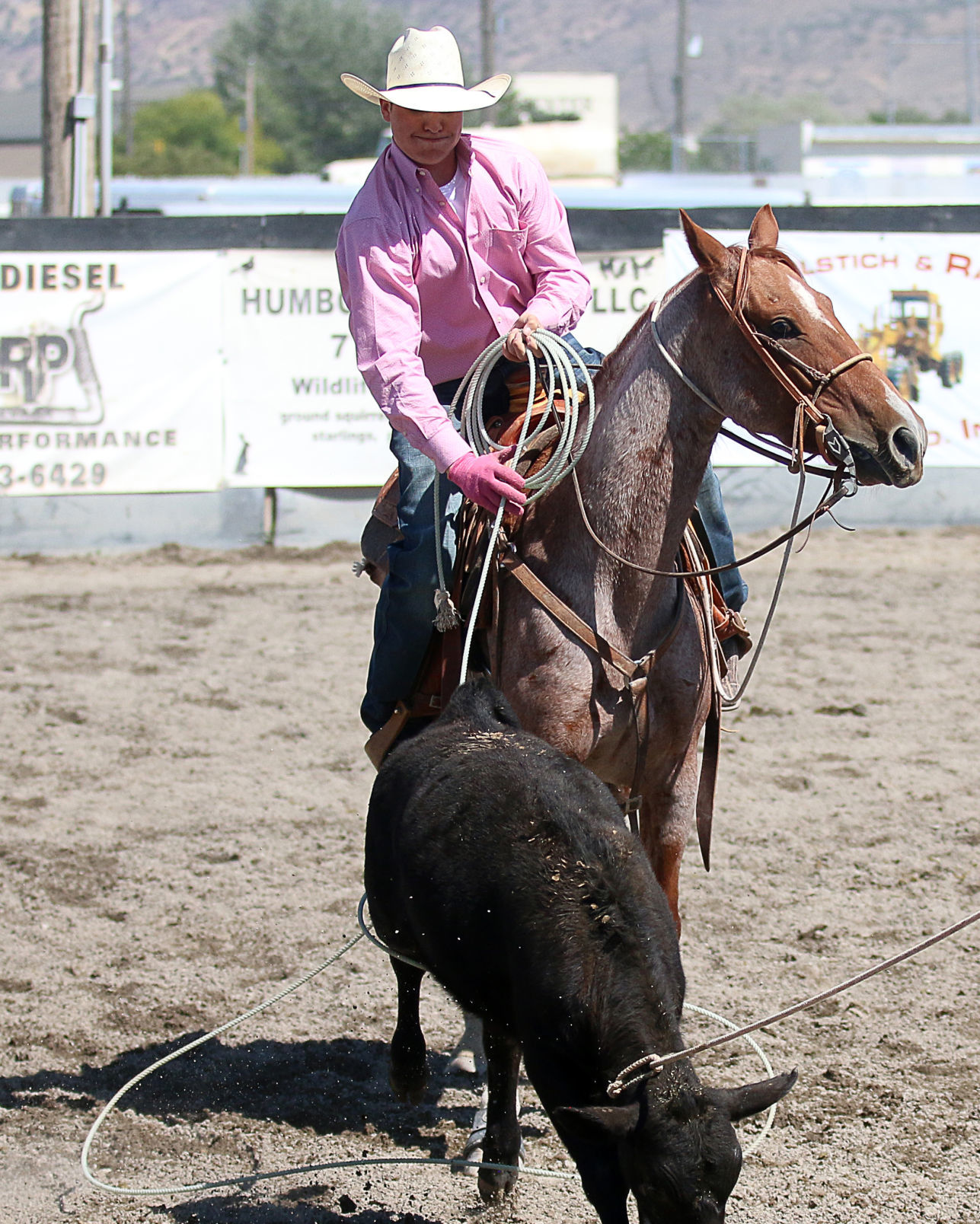 2018 Elko County Fair Open Branding Finals (20).JPG